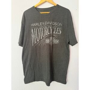 Harley Davidson T Shirt Avalanche Golden CO Biker Oversized 2018 Gray Mens 2XL